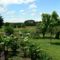 Hebergement Domaine de Genevieve des vignes : photos des chambres
