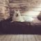 Hebergement La Cabane Aux Loups : photos des chambres