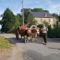 Hebergement Domaine de La Caure : photos des chambres