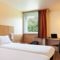 Hotel ibis Paris Marne la Vallee Emerainville : photos des chambres