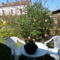 Chambres d'hotes/B&B La Roseraie : photos des chambres