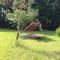 Hebergement Chalet En Bord De Riviere : photos des chambres