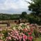 Hebergement LE GITE DU HARAS : photos des chambres