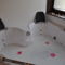 Hebergement Lune et Miel : photos des chambres
