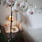 Chambres d'hotes/B&B La Maison De Maria : photos des chambres