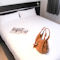 Hebergement Park Wilson Airport : photos des chambres