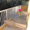 Appartement Les Eucalyptus : photos des chambres