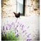 Hebergement Nonpareil : photos des chambres