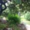 Chambres d'hotes/B&B Chambre Avec Jardin Pierre Curie : photos des chambres