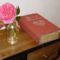 Chambres d'hotes/B&B Domaine du Fief aux Dames : photos des chambres