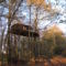 Chambres d'hotes/B&B Cabanes du Bois Clair : photos des chambres