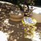Hebergement Les Petits Gardons : photos des chambres