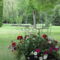 Chambres d'hotes/B&B Le Gite du Jardin : photos des chambres