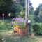 Hebergement Butterfly Cottage : photos des chambres