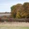 Hebergement Cricri / rust.stilte.platteland : photos des chambres