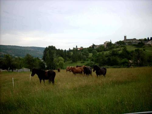 Gite Provence Luberon Paca : Hebergement proche de Montsalier