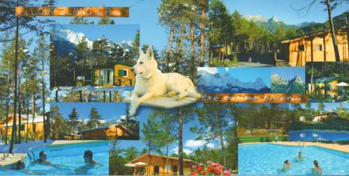 Parc Résidentiel de Loisir : Le Loup Blanc du Riou : Hebergement proche de Saint-Pons