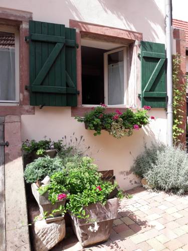 charmant petit appartement en Alsace : Appartement proche de Zœbersdorf