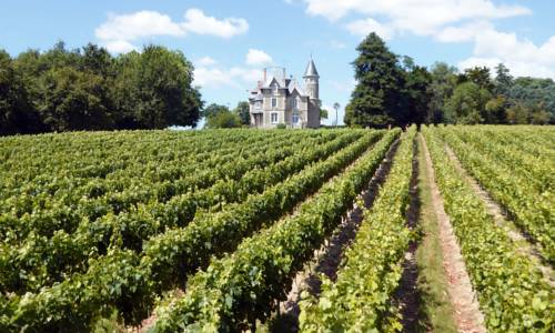 Chateau Breduriere : Chambres d'hotes/B&B proche de Mareuil-sur-Lay-Dissais