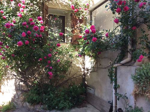 Provence, Luberon, La Cocoune, NID, au coeur du village perché rural : Appartement proche de Vachères