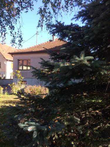 la maison de Lucie : Maisons de vacances proche d'Auenheim
