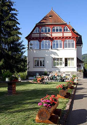Villa Du Sendenbach : Appartements proche de Mittlach