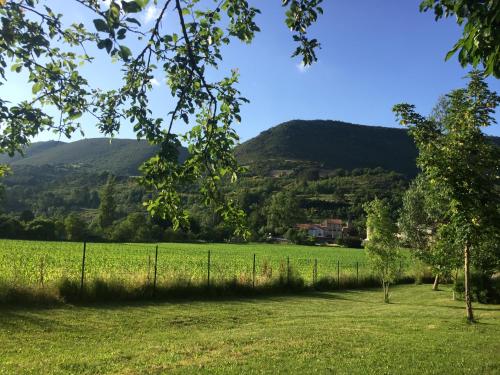 Le Chat Blanc Gîte : Maisons de vacances proche de Ceilhes-et-Rocozels