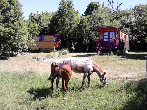Roulotte-Quinta : Campings proche de Blandas