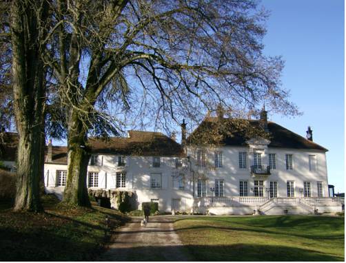Le Chateau de Prauthoy : B&B / Chambres d'hotes proche de Bay-sur-Aube