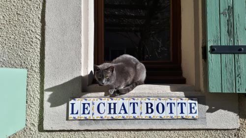 Le Chat Botté - Vankantiehuis in Languedoc-Roussillion : B&B / Chambres d'hotes proche de Ferran