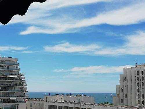 Le Sémaphore - studio climatisé, grande terrasse vue mer - parking, wifi : Appartements proche de La Grande-Motte