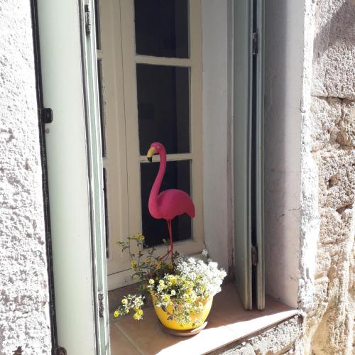 Maison Flamingo : Maisons de vacances proche de Causses-et-Veyran