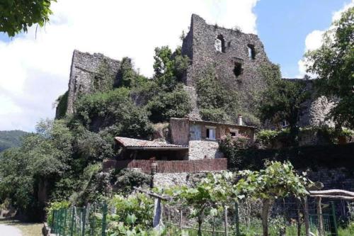 Gîte du Château de Retourtour : Maisons de vacances proche de Colombier-le-Jeune