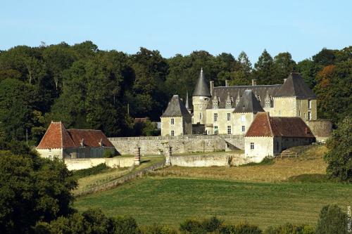 Château des Feugerets : Maisons d'hotes proche de Sérigny