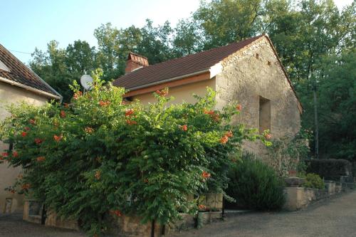 Le Moulin du Bouscot : Maisons de vacances proche de Saint-Cybranet