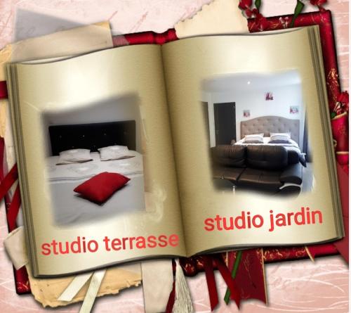 Au Paradis des Crins avec un studio rez de chaussée jardin et studio en duplex avec terrasse : Appartements proche de Douai