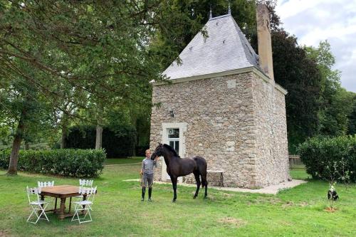 Romantic anciens cottage in a beautiful park : Chalets proche de La Fontaine-Saint-Martin