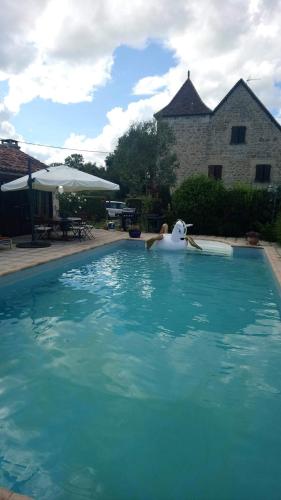 Studio avec piscine partagee jardin amenage et wifi a Bio : Appartements proche de Saint-Simon