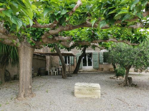 Séjour au calme au milieu des vignes : Maisons de vacances proche de Loupian