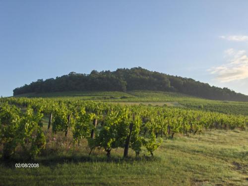 La maison du vigneron : Maisons de vacances proche de Le Breuil