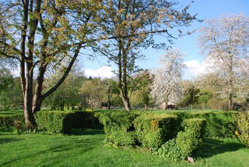 Gites aux Fleurs de Cerises : Appartements proche de Mareil-en-France