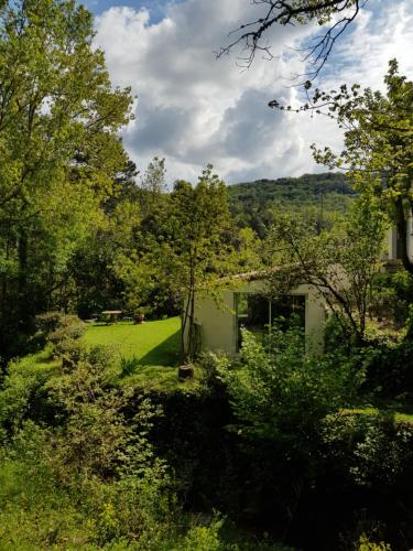 Beautiful studio surrounded by nature : Maisons de vacances proche de Duilhac-sous-Peyrepertuse