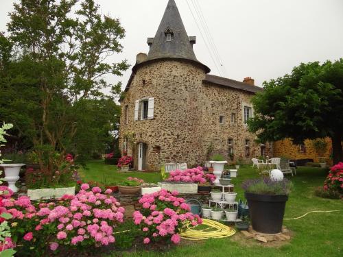 Manoir familial de la Provosterie : B&B / Chambres d'hotes proche de Beaulieu-sur-Oudon