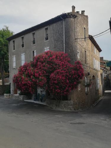 Chez Shona : Maisons d'hotes proche de Saint-Martin-des-Puits