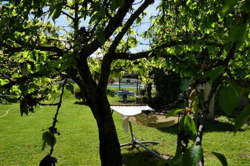 Belle longère au calme - L'auguste maison d'hôtes : Maisons de vacances proche de Saint-Julien-d'Asse