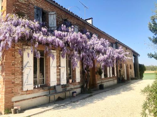 Beautiful 6 Bedroom Farm House in Tarn et Garonne : Maisons de vacances proche de Saint-Sardos