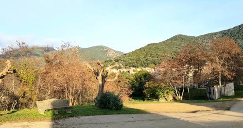 Grande Maison entre mer et montagnes Corse : Appartements proche de Zigliara