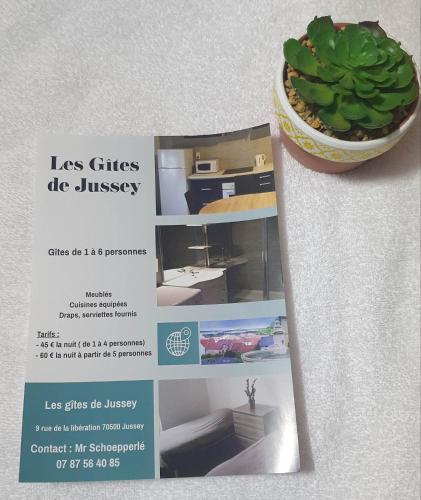 Les Gîtes de Jussey : Appartements proche de Blondefontaine