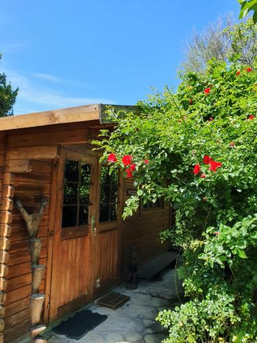 La Cabane du Pesquier en Provence : Maisons d'hotes proche de Noves