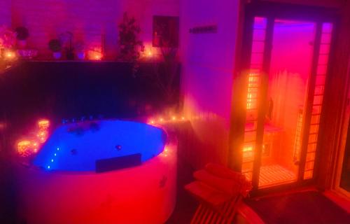 La Romance jacuzzi sauna de luxe jardin au calme : Maisons de vacances proche de Saint-Martin-de-Bernegoue